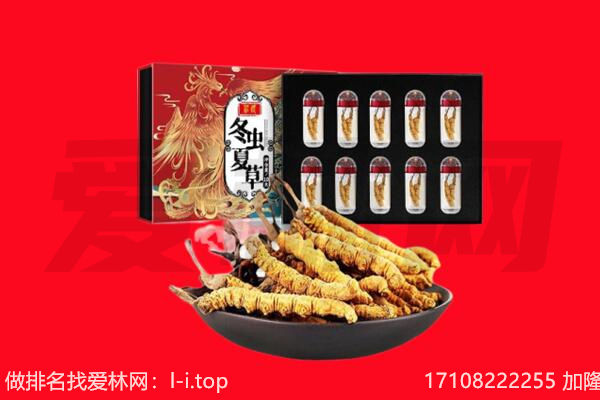 盐城回收虫草.jpg